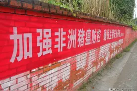 疫情不停，21日广东检出非洲猪瘟！猪价行情将变？图片