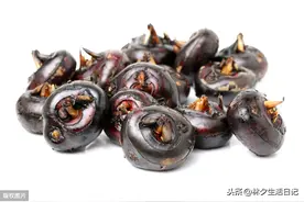 形似马蹄，亦叫马蹄，水上的栗子图片