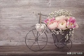 女人四十一枝花，三十岁的时候如果没有这些，绿叶都不配图片