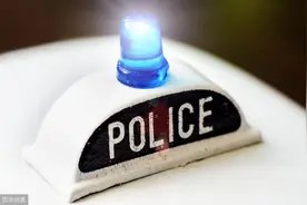 美国警察误用《人类清除计划》警笛后致歉：不知道出自恐怖片图片