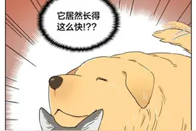 萌系治愈漫画：小土豆变得比自己都大图片