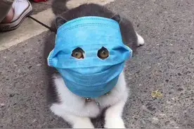 翻烂了《情人节表白大全》，我发现成功率最高的撩人套路是......图片