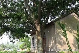故事：古代志怪故事——汀州山魈图片