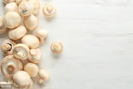 蘑菇长白毛，还能不能吃？图片