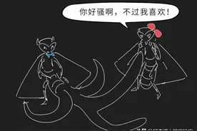淦！性感又骚气的动物知识又增加了图片