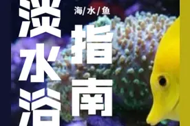 淡水浴的操作步骤及注意事项！（建议收藏）图片