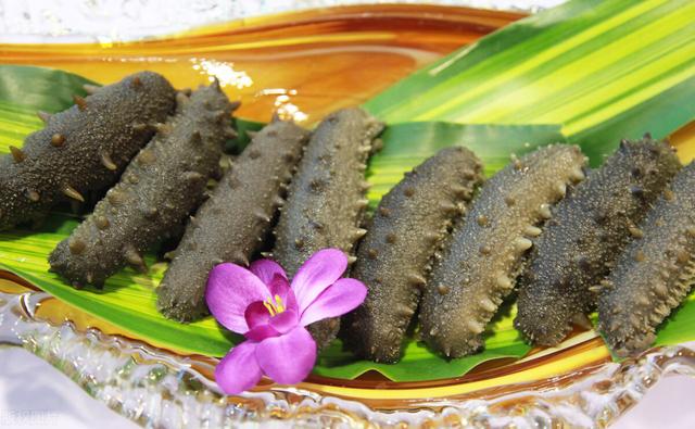 海参有什么功效和作用 2025年男人吃海参有什么功效和作用