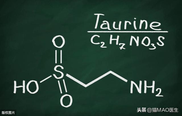 猫咪必需从肉类获取的两种氨基酸，一旦缺乏，将影响猫多功能