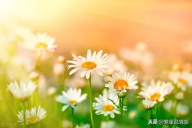 女人离婚后，为什么还要和前夫住一起？听这3个离婚女人说实话图片