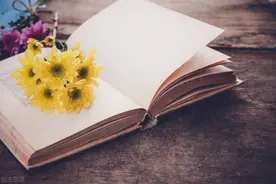 完善同行评议机制让学术评价体系“质”与“量”并重图片