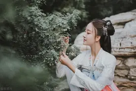 小说：大将军拒婚贵门小姐，只因他贴身香囊里，藏着她丫鬟的小像图片