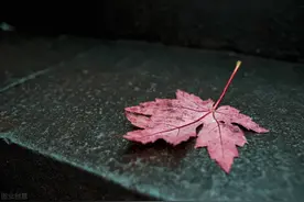 以朋友的名义爱你，终究只是大梦一场图片