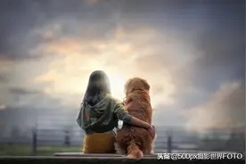 狗狗的深情告白，他用短暂的一生，始终伴你左右图片