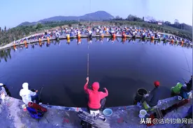 辟谣：“回锅鱼”广受诟病，是黑坑的错？真相却是钓鱼人自食其果图片