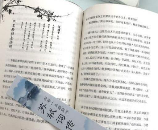 苏轼为友人小妾作词一首，如今成朋友圈“网红句”的代表佳句