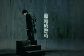陈奕迅的《葡萄成熟时》是写给“不婚族”和“丁克族”的分手歌图片