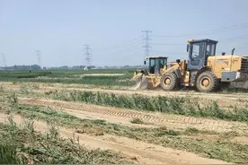 河北大名县通报“麦地被夷为平地”：村支书党内严重警告 施工方拘留图片