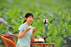 我国农村电商发展的制约因素与促进政策图片