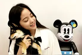 欧阳娜娜一件“学生制服”T恤凹造型，出镜狗子一脸不情愿图片