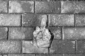 成熟噎人系列：浑身都是刺，别人才会照顾你的感受图片