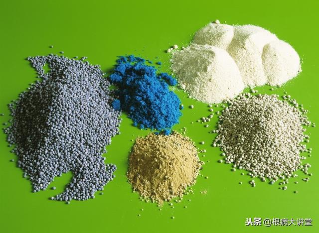 诺基尔：不起眼的氨基酸，原来你这样的了不起