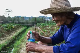 故事：父亲捕蛇卖钱，看到蛇鼓起来的肚子，从此不再做捕蛇人图片