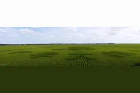 农垦文苑丨我的名字叫北大荒图片