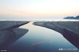 梦的隐喻 | 如果你曾重视过你的梦，你的人生不会是现在的模样图片
