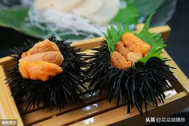 海胆真的是尖锐外表下的柔软内心图片