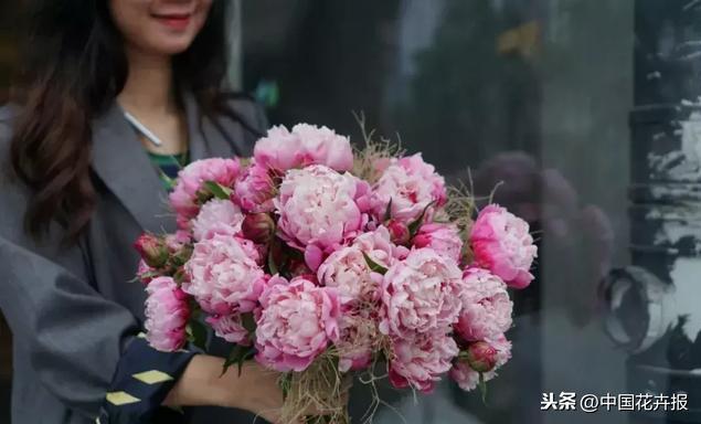 除了康乃馨，母亲节送给妈妈的花还有很多，这篇文章告诉你！