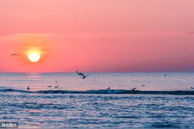 海边的这些“要命”危险你知道吗？图片