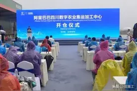 阿里巴巴四川数字农业集运加工中心在蒲建成亮相，将覆盖川、渝、黔三省图片