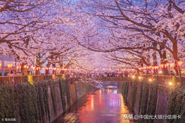 光大银行信用卡地带，光大中青旅联名卡好吗 配图01