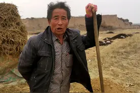 收购加工中药材一年纯利润100多万元，比农民种药材要强多了图片