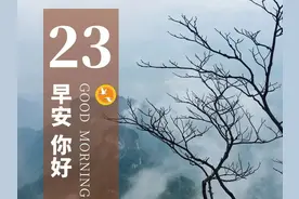 清晨励志语录：不执着于过去，才有未来图片