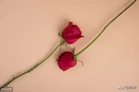 “每天都和我聊天的男生，是真的爱我吗？”图片