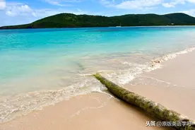 英语原版阅读：Beach Day图片