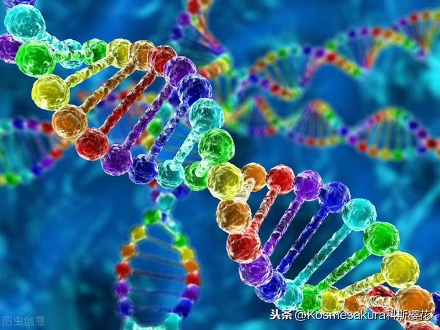 “氨基酸”对我们人体起到了哪些关键作用？