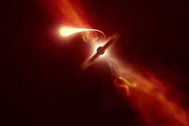 天文学家观测到2.15亿光年外超大质量黑洞潮汐瓦解恒星全过程图片