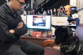 狗狗偷跑出门，主人放狠话“去当流浪狗好了”，它笑容立刻消失图片