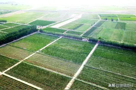 宁夏永宁县闽宁镇，一个有4万多人的地方，从干沙滩变成金沙滩图片