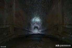 秦始皇祖母墓被打开，里面竟有一灭绝已久的动物，专家：太重要了图片
