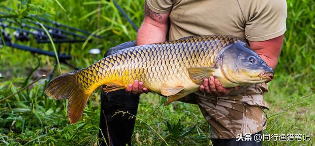 瓒呰灞炰簬浠€涔堥サ锛熺敤濂戒簡灏辨槸涓€娆惧畬缇庝竾鑳介サ锛岃秴绾ц椋? onerror=