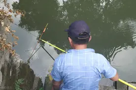 农民对黄鳝情有独钟！每晚辛苦抓黄鳝，为何要把黄鳝清除掉呢？图片