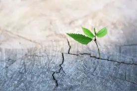 如果累了，就换一种活法图片
