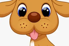 【金龟子讲睡前故事】板凳狗头上长白菜图片