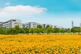 北航：同为学院路8大院校之一，我也不愿看到中国矿大今天的样子图片