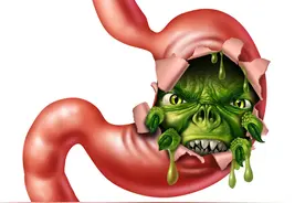 饮食—食物如何穿过胃和其它食物通道？图片