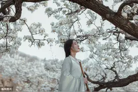 经典梨花古诗词7首，写尽暮春最美春光，你喜欢哪首？图片