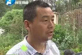 办理营运证用砖头排队，吊销补办遥遥无期，50万贷款货车只能拴狗图片